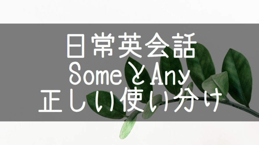 someとanyの正しい使い分け 本当に分かってますか?